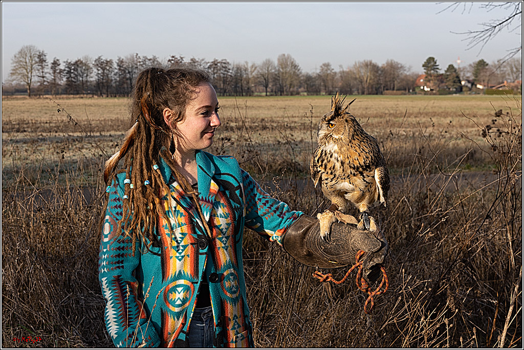 Cheyenne-Halbblut Hunting Wolf in der Falknerei Pierre Schmidt; Gymnich, 09.02.2023